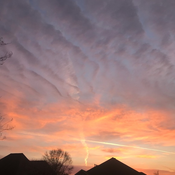 Meet your Posher, Lisa - Picture 1 of 1